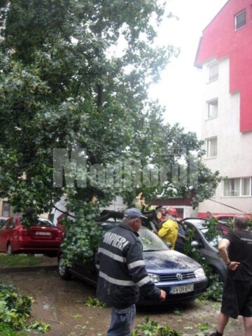 Pe Mărășești, un copac a căzut peste două autoturisme