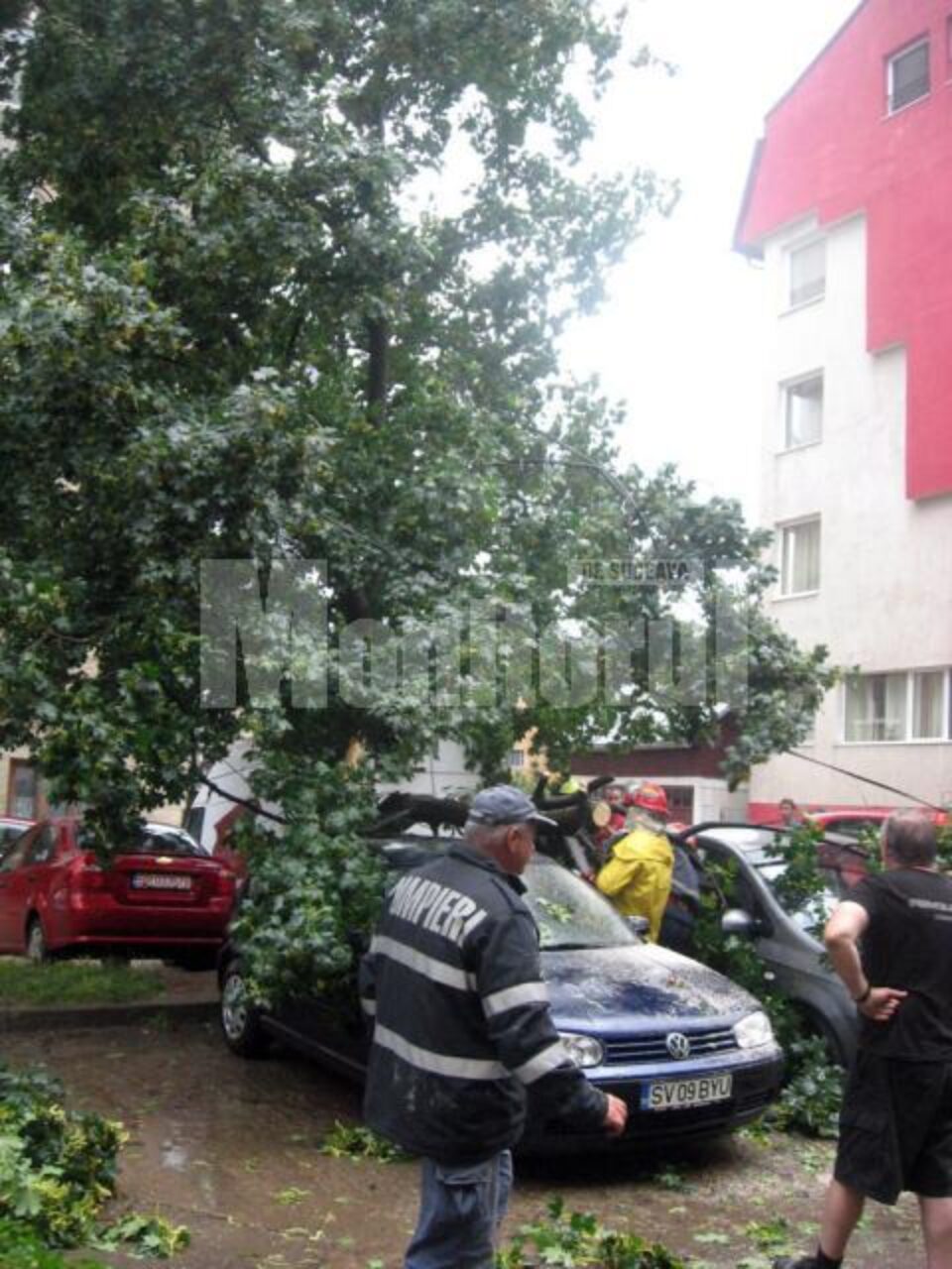 Pe Mărășești, un copac a căzut peste două autoturisme