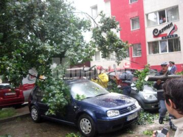 Pe Mărășești, un copac a căzut peste două autoturisme