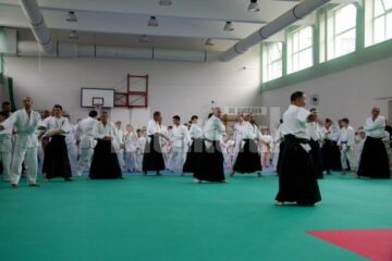 Demonstrație Aikido