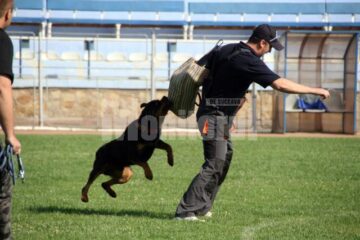 Oscar la antrenamente