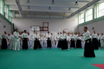 Demonstrație Aikido