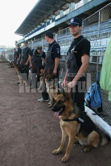 25 de câini polițiști sunt pregătiți la orice oră să fie trimiși după infractori