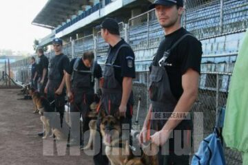 25 de câini polițiști sunt pregătiți la orice oră să fie trimiși după infractori