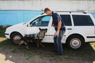 La antrenamente, „Kent” și colegul său de muncă, agentul principal Adrian Frunză