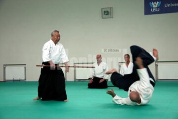 Demonstrație Aikido