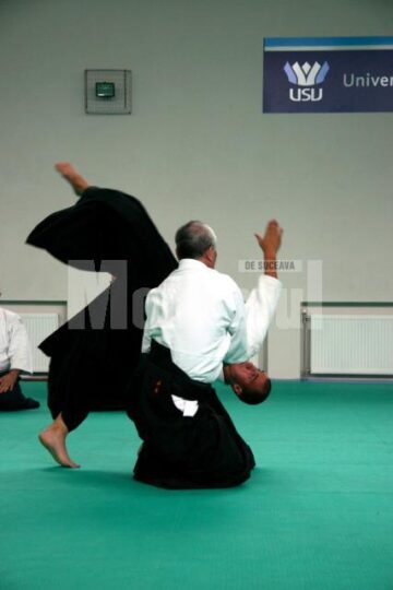 Demonstrație Aikido