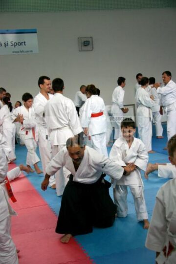 Demonstrație Aikido
