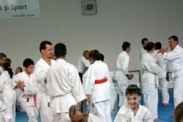 Demonstrație Aikido