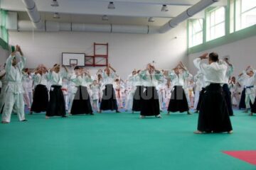 Demonstrație Aikido