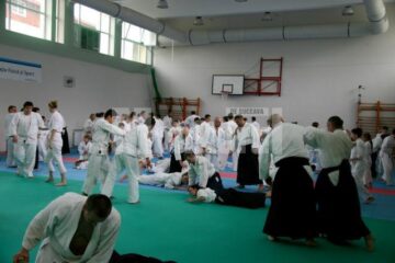 Demonstrație Aikido