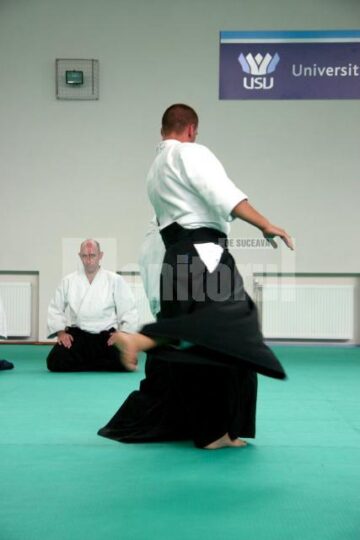 Demonstrație Aikido