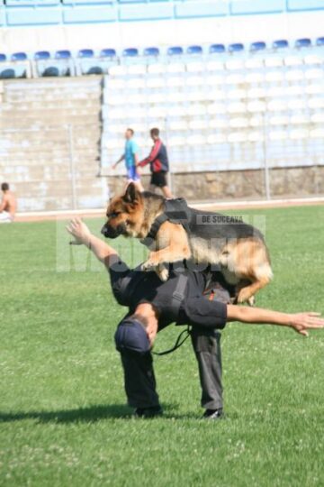 Mob și agentul principal Vasile Burlui