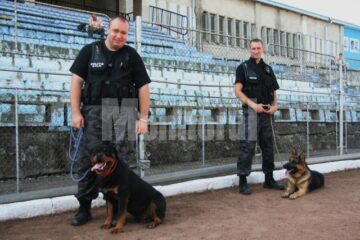 Cei doi câini de la Intervenție Rapidă