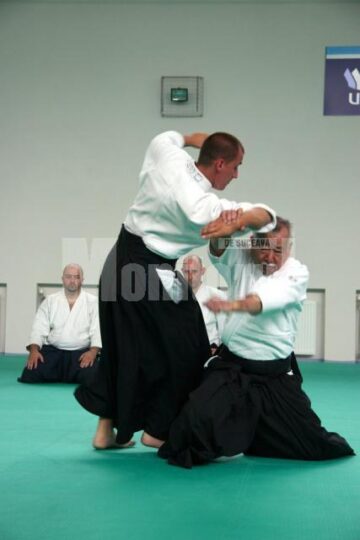 Demonstrație Aikido