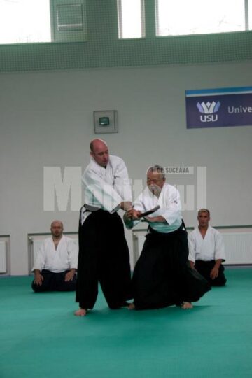 Demonstrație Aikido