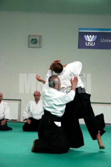 Demonstrație Aikido