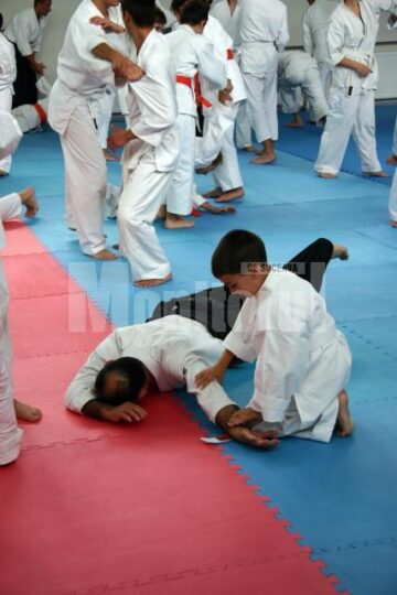 Demonstrație Aikido