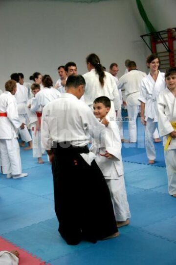 Demonstrație Aikido