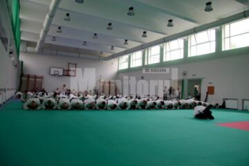 Demonstrație Aikido