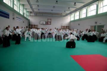 Demonstrație Aikido