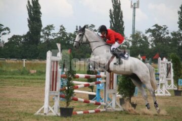 Caii zburători de pe Hipodromul Rădăuți