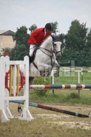 Caii zburători de pe Hipodromul Rădăuți