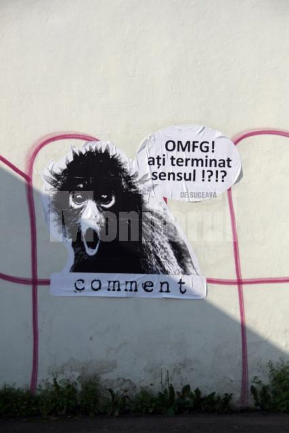 Mesaje zeflemitoare, apărute în centrul Sucevei