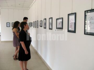 Vizionarea expoziției