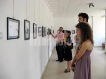 Vizionarea expoziției