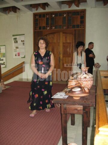 Vizionarea expoziției