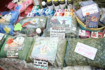 Produse tradiționale bio