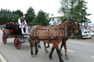 Parada căruțelor