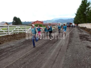 Concurs de cros