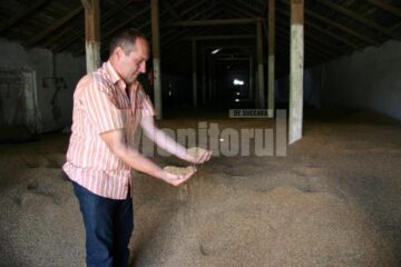 Gheorghe Abogătoaie spune că este mulțumit de producția de grâu din acest an, iar proprietarii de terenuri vor primi câte 500 de kg de cereale la hectar