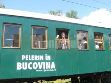 Flutur la geamul trenului de epocă