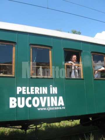 Flutur la geamul trenului de epocă