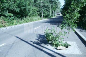 Crengile din canalele descoperite îi avertizează pe șoferi de pericol