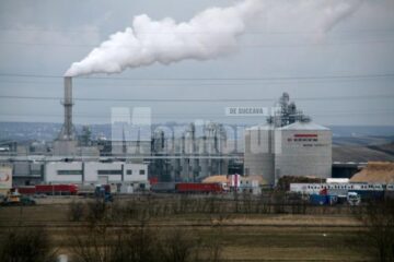 Compania Egger România a înregistrat o cifră de afaceri de peste o sută de milioane de euro