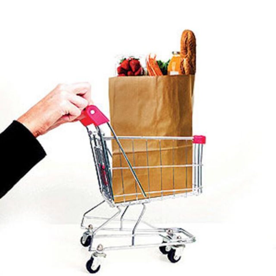 Proiectul prevede acordarea lunar, contra cost, dar la "prețul cel mai scăzut posibil", a unui pachet conținând alimente de bază Proiectul prevede acordarea lunar, contra cost, dar la "prețul cel mai scăzut posibil", a unui pachet conținând alimente de bază