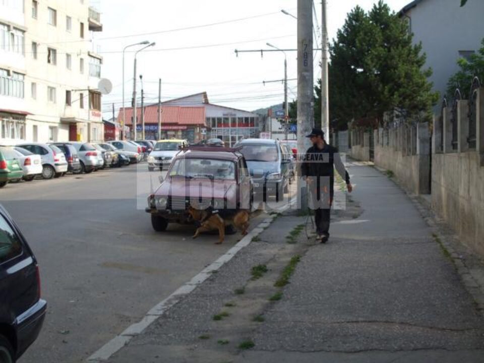 Câinele de urmă al poliției a fost cel care a dat peste cutia cu bani aruncată pe terenul viran din spatele bisericii