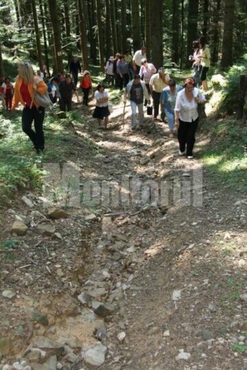 Șefii de instituții au parcurs pe jos un traseu de 4 kilometri