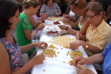 40 de urechiușe îndeplinesc o dorință