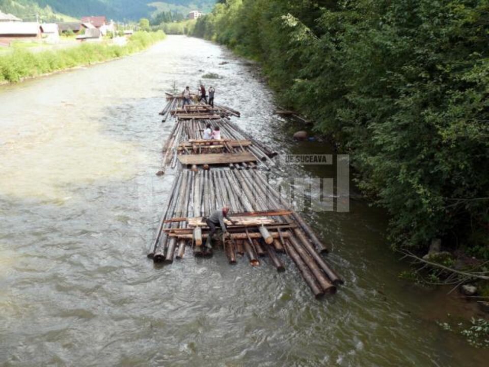 Cu pluta pe Bistrița Aurie