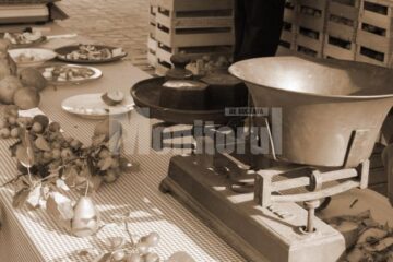 Comercializare legume fructe