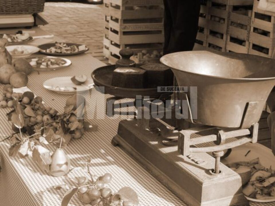 Comercializare legume fructe