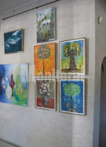 Secvență din expoziția de la Gura Humorului