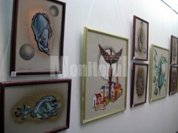 Secvență din expoziția Matrice 2011 de la Galeria Pod Pogor - fiul