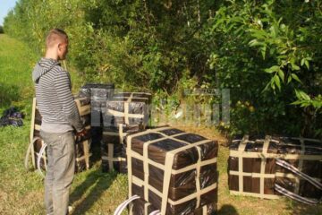 Contrabandistul de 19 ani și cele 15.000 de pachete de țigări de contrabandă