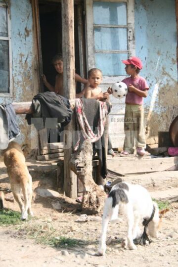 Comunitatea de țigani din cătunul Tâmpoceni, comuna Păltinoasa